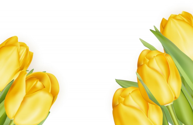 黄色のチューリップの花束。