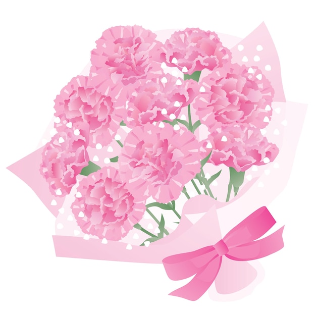 The bouquet of the pink carnation of the Mother's Day