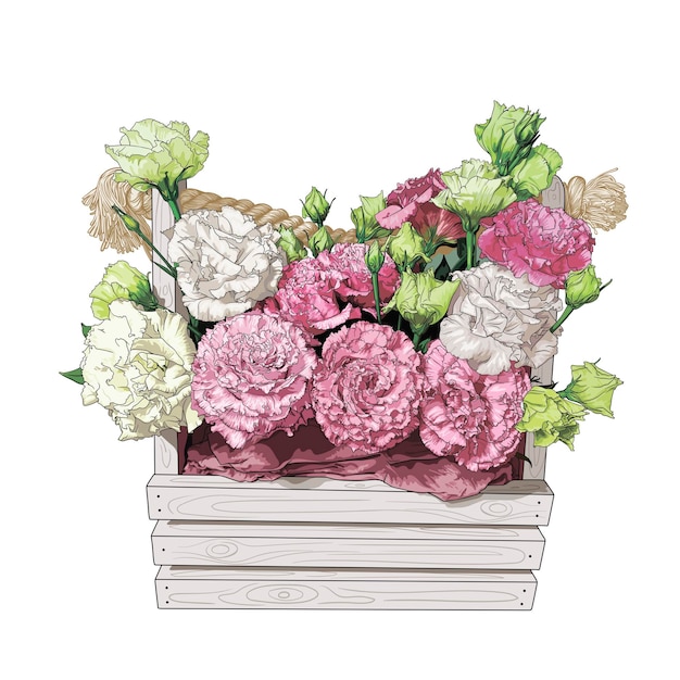 bouquet of pink and cream eustomas in a basket on a white background. hand drawing.