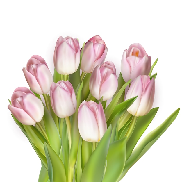 Bouquet of pink tulips.