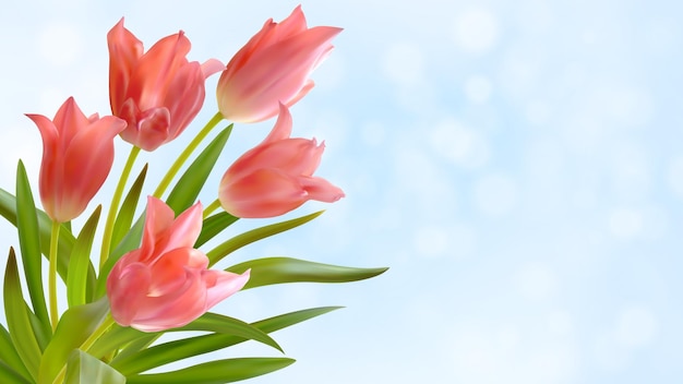 Bouquet of realistic pink tulips