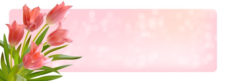 Vector bouquet of realistic tulips on a pink background