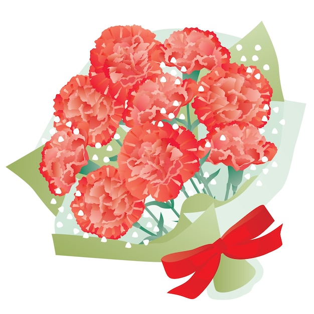 Bouquet of the red carnation of Mother's Day