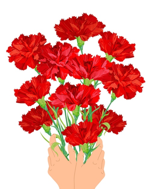 Bouquet of red carnations in hands Postcard for Mother's Day or Parents' Day Flowers as a gift to beloved parents as a sign of respect and gratitude Thank you dear person