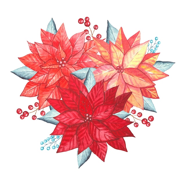 Bouquet of red poinsettias with blue leaves watercolor