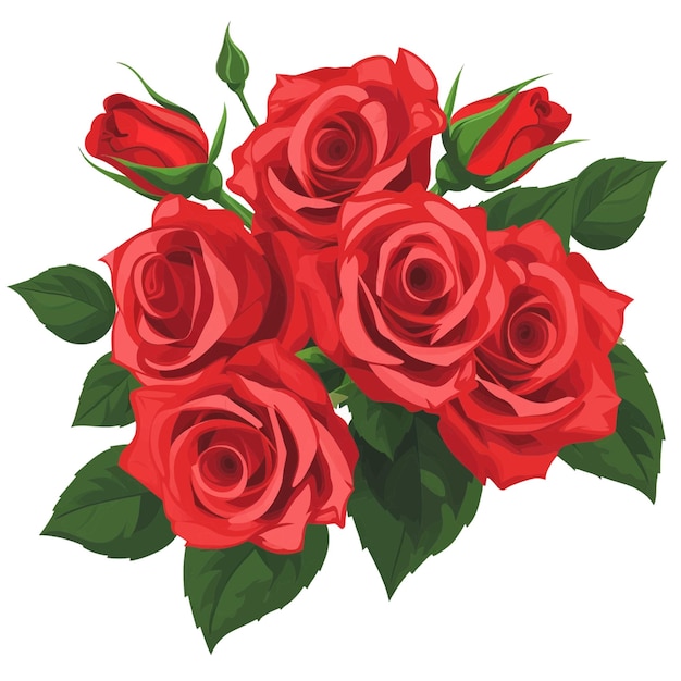 Vector bouquet of red roses valentines day 107