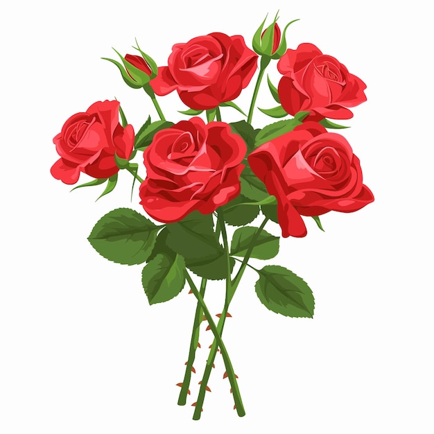 赤いバラの花束 バレンタインデー