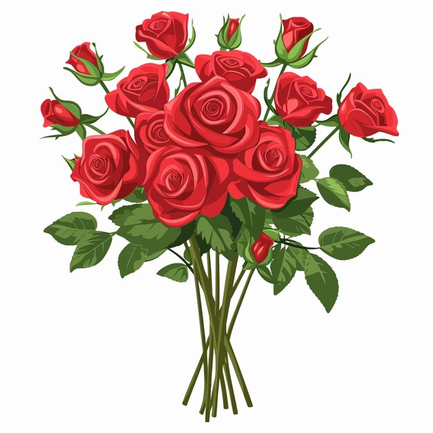 Vector bouquet of red roses valentines day 47