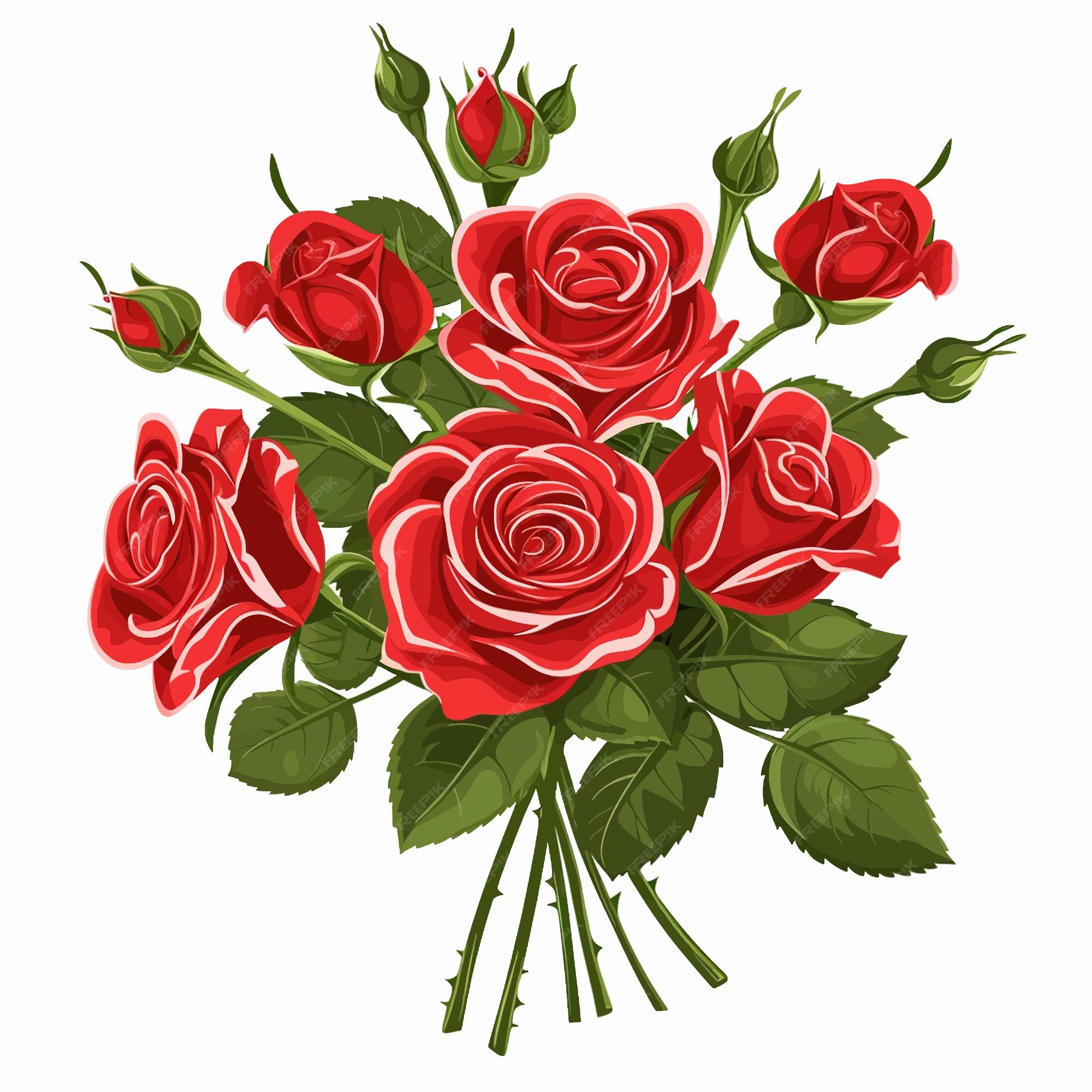 premium-vector-bouquet-of-red-roses-valentines-day-63