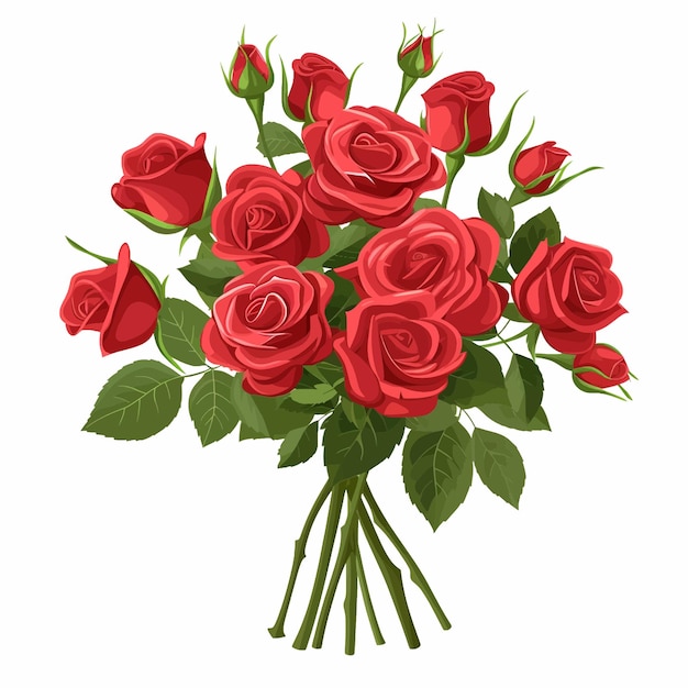 Vector bouquet of red roses valentines day 71