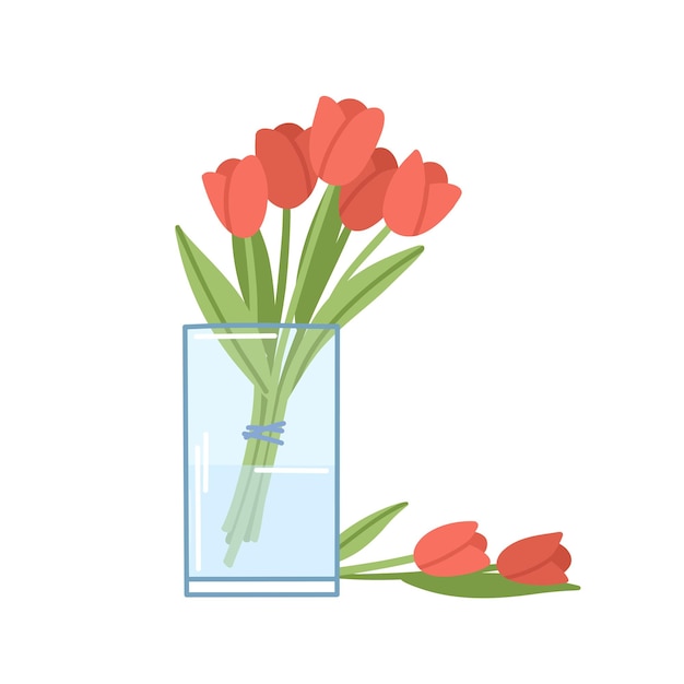 Bouquet of red tulips in a glass vase with water. Individual flowers behind a vase. Vector flowers