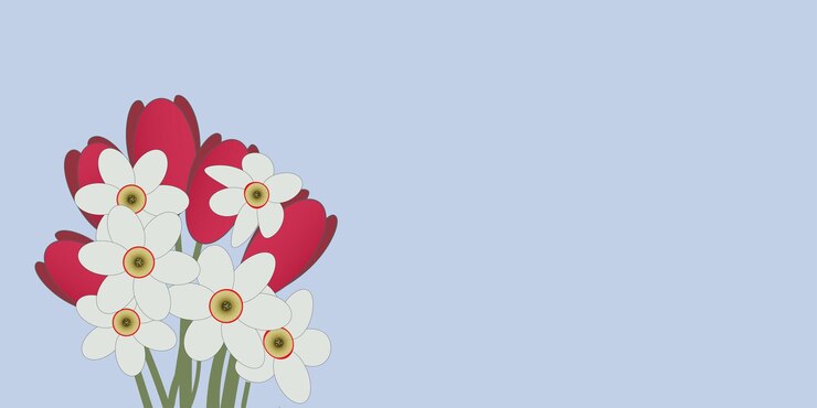 Vector bouquet red tulips and white daffodils light blue background perfect for greeting cards or springthemed designs vector