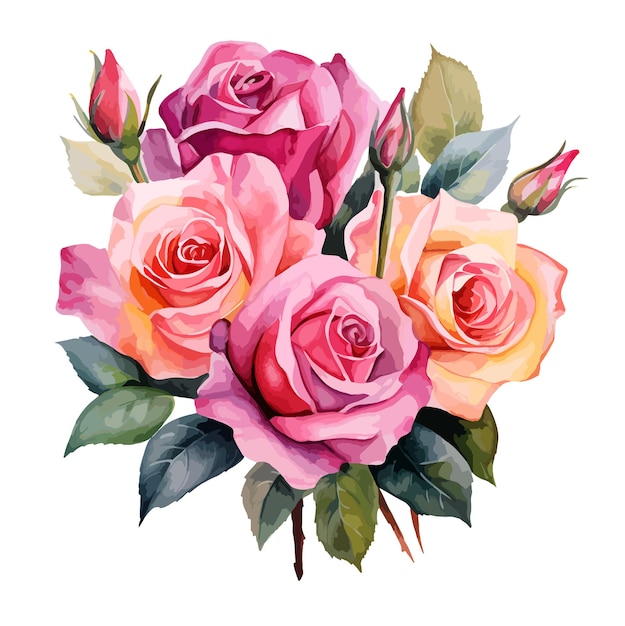 Vettore bouquet di rose acquarello clipart