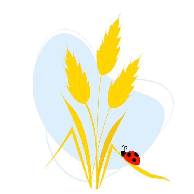 Bouquet of spikelets of wheat with ladybug on leaf Vector illustration