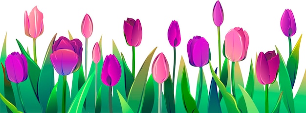 チューリップの花束;赤いチューリップ;フラワーズ;チューリップ;バネ;自然;美しさ;バックグラウンド;シャンデリア;花びら;行進; 4月;緑;ホリデー;母の日;ホリデー;ピンクのチューリップ;黄色いチューリップ;紫のチューリップ;