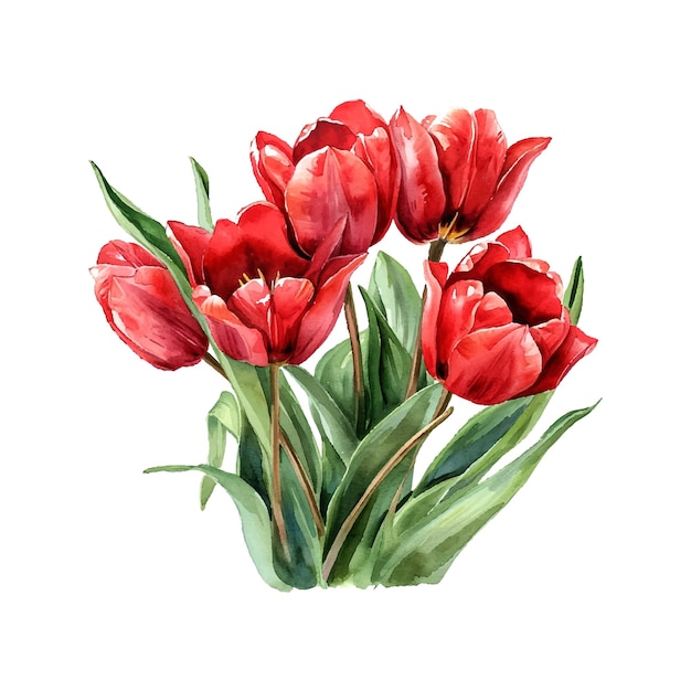 Bouquet van rode tulpen tekenfilm stijl waterverf illustratie op witte achtergrond