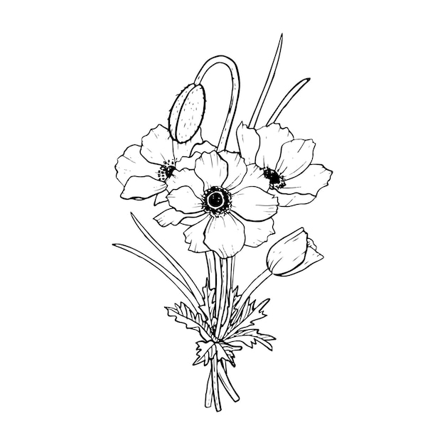 Vector bouquet van veldpoppen zwarte en witte grafische vectorillustratie voor voorjaarsbruiloftsontwerp