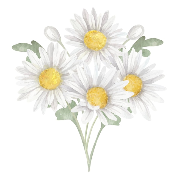 Vector bouquet of watercolor floral botanic daisies