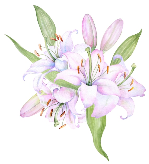 Bouquet white lilies watercolor flower arrangement