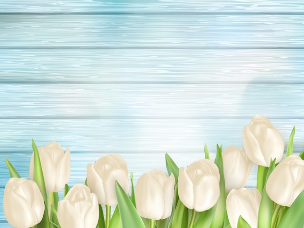 Vector bouquet of white tulips.