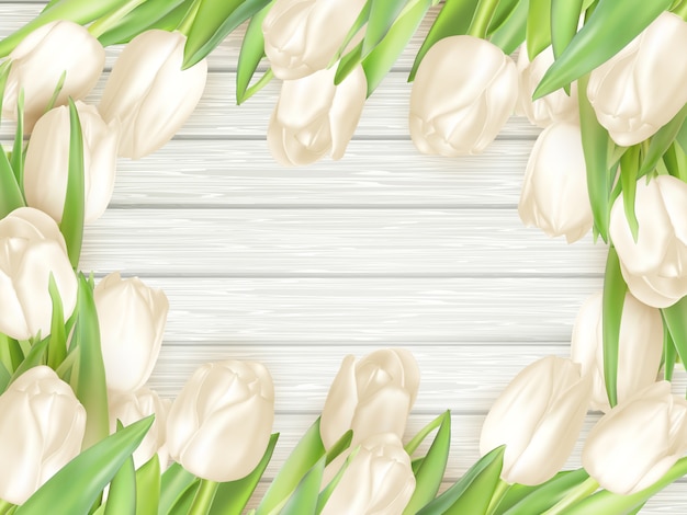 Bouquet of white tulips.