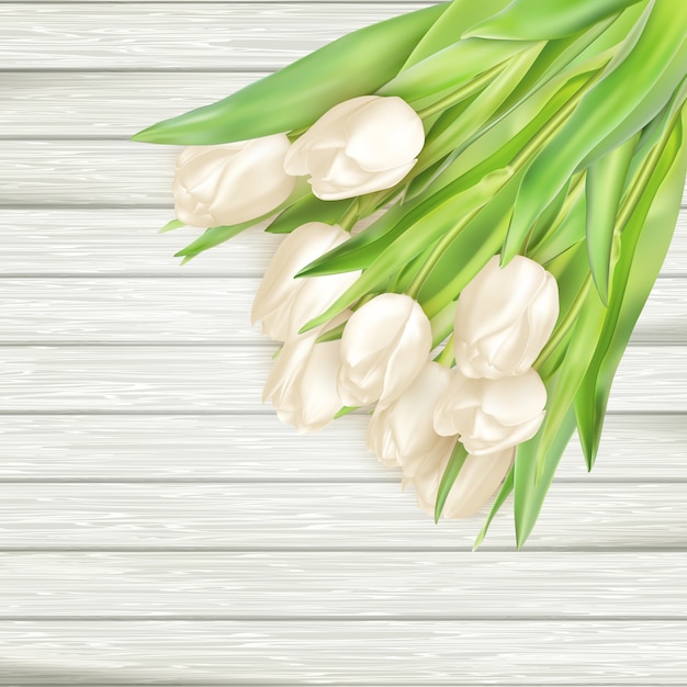 Bouquet of white tulips.