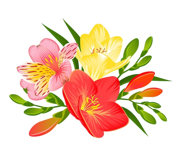 Bouquet with alstroemeria and freesia flowers on a white background in vector