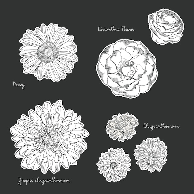 手で花束は、春の花のベクトル図を描いた。