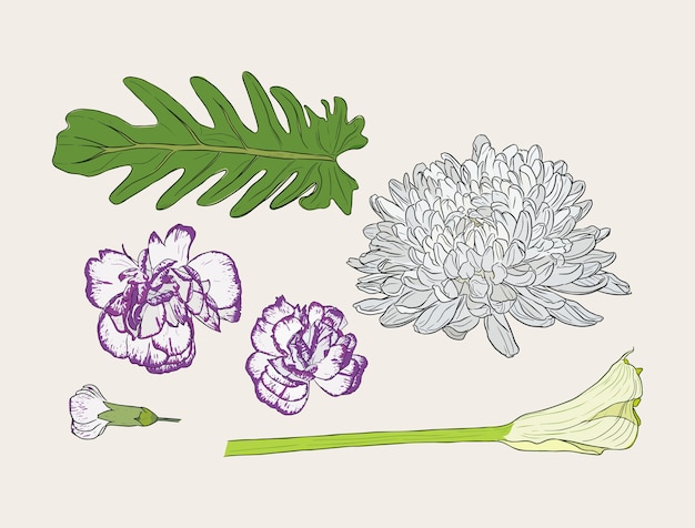 Vector bouquet with hand drawn spring flowers vector illustration.