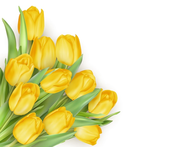 Bouquet of yellow tulip flowers