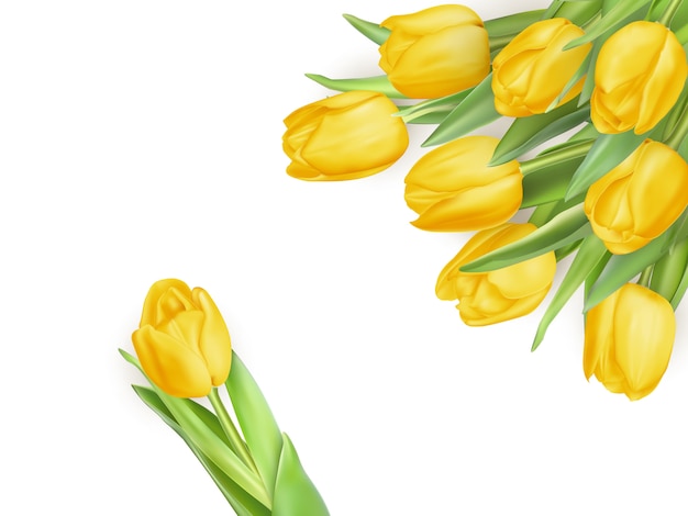 Bouquet of yellow tulip flowers