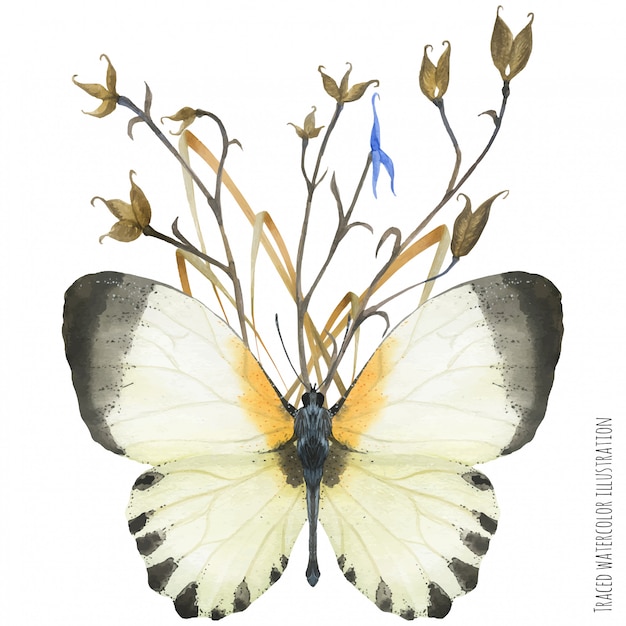 Vector boutonniere composition with butterflies and plant