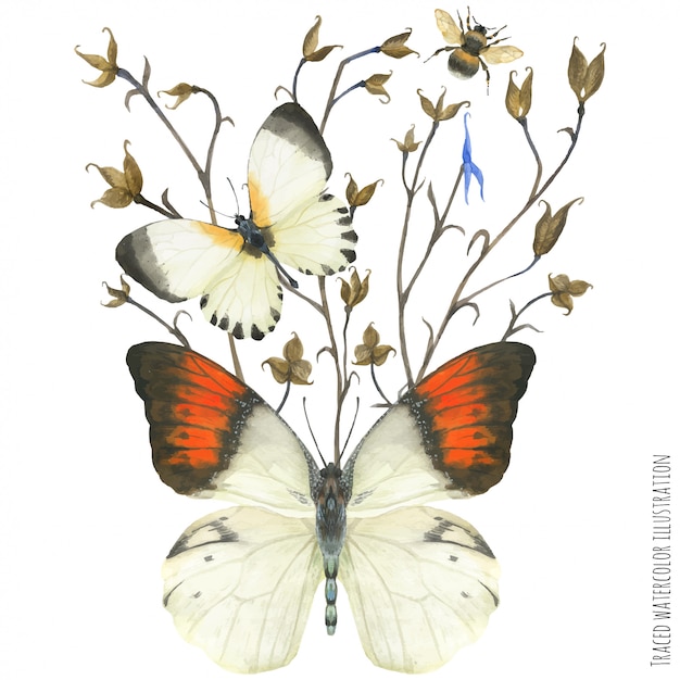 Vector boutonniere composition with butterflies and plant