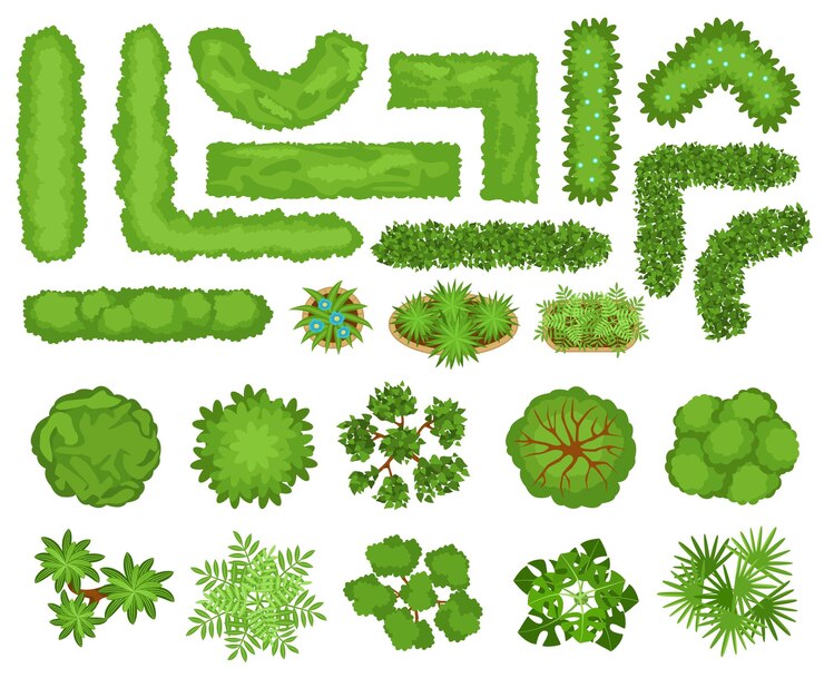 Vector bovenaanzicht bomen planten tuin struiken en hagen voor landschapsontwerp stadspark landschapselementen haagstruik bloemen vector set