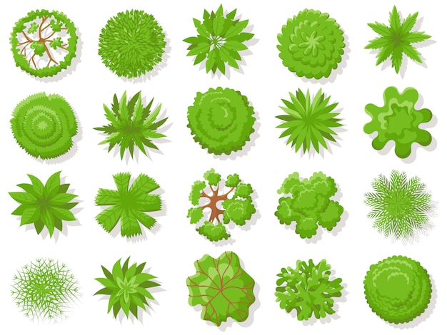 Vector bovenaanzicht planten. tropische bomen, groene plant boom van bovenaf voor luchtfoto kaart geïsoleerde collectie