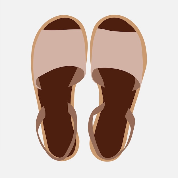 Bovenaanzicht vectorillustratie van vrouwelijke schoenen