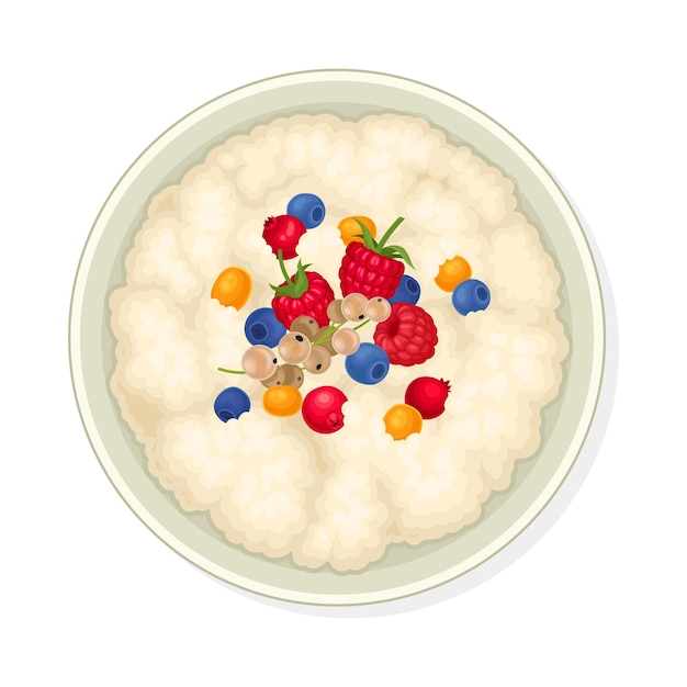 Vector bowl of cereal or oatmeal porridge with berries view from above vector illustration