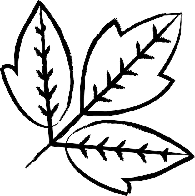 Vector box elder leaf met de hand getekende vectorillustratie