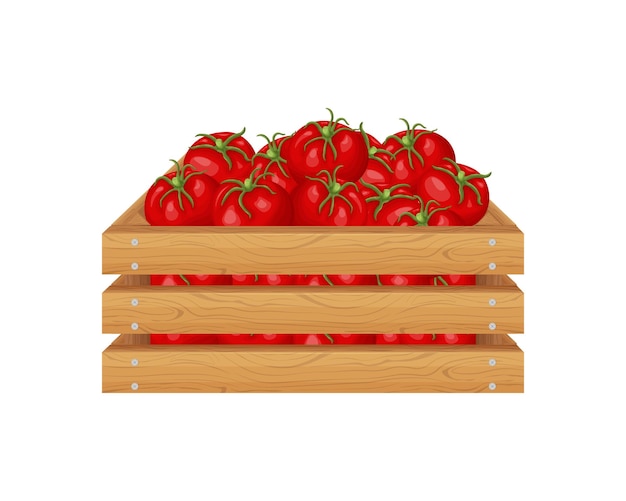 Una scatola di pomodori pomodori rossi maturi in una scatola di legno verdure in una scatola di legno illustrazione vettoriale i