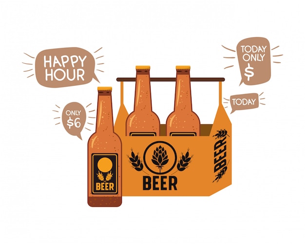 Vector box with beer bottles isolated icon