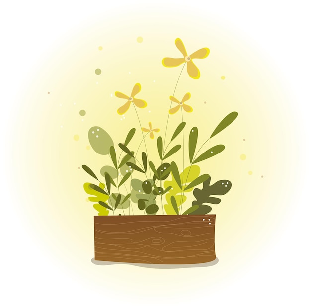 box with plants on a light background