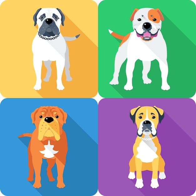 Boxer and american bulldog breed face icon flat design