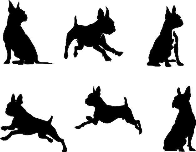 Premium Vector | Boxer dog outline silhouette in different poses black ...