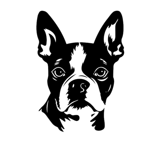 Boxer dog vector drawing