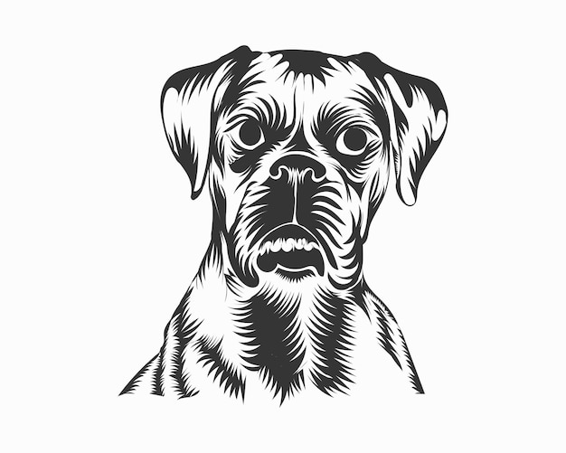 ボクサー犬ベクトル イラスト、白背景にボクサー犬ベクトル