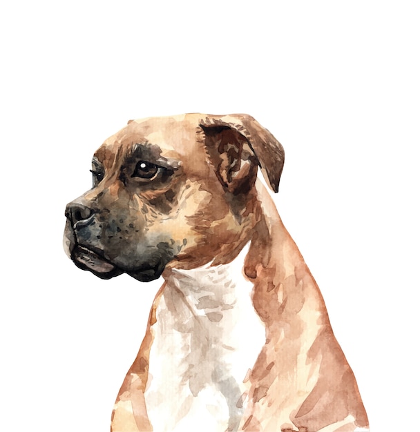 Vector boxer dog watercolor hand painted