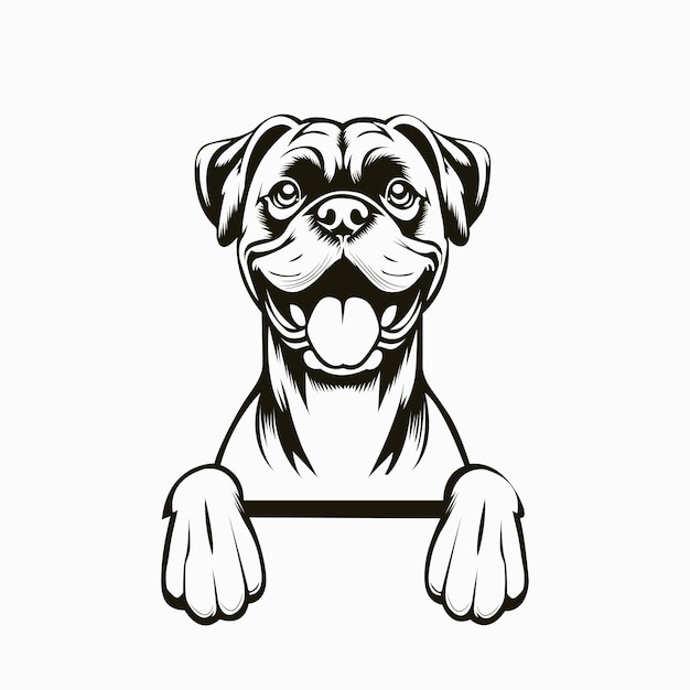 Boxerhond die naar een geïsoleerde illustratie vector kijkt