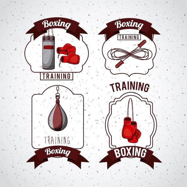 boxing sport design