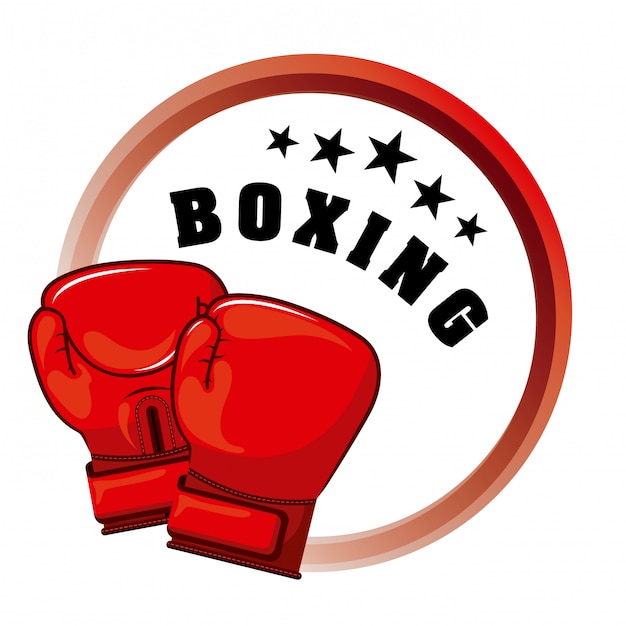 boxing sport 