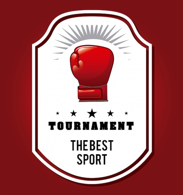 boxing sport 